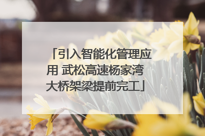 引入智能化管理应用 武松高速杨家湾大桥架梁提前完工