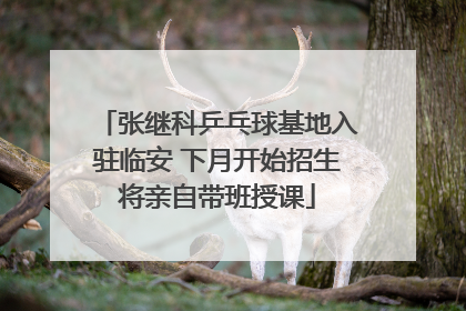 张继科乒乓球基地入驻临安 下月开始招生将亲自带班授课