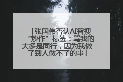 张国伟否认AI智搜“炒作”标签：骂我的大多是同行，因为我做了别人做不了的事