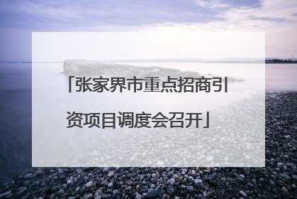 张家界市重点招商引资项目调度会召开