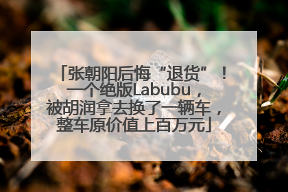 张朝阳后悔“退货”！一个绝版Labubu，被胡润拿去换了一辆车，整车原价值上百万元