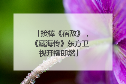 接棒《宿敌》，《藏海传》东方卫视开播即燃