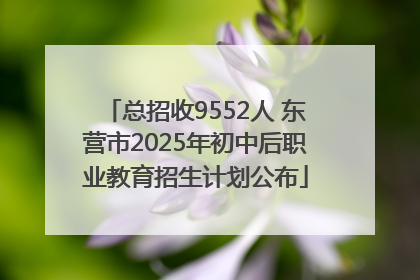总招收9552人 东营市2025年初中后职业教育招生计划公布