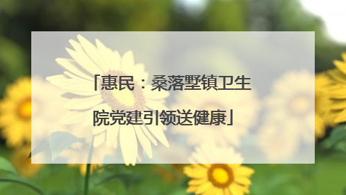 惠民：桑落墅镇卫生院党建引领送健康