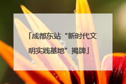成都东站“新时代文明实践基地”揭牌