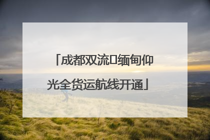 成都双流⇌缅甸仰光全货运航线开通