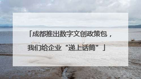 成都推出数字文创政策包，我们给企业“递上话筒”