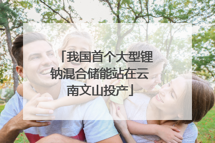 我国首个大型锂钠混合储能站在云南文山投产