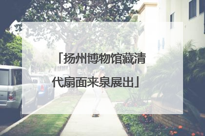 扬州博物馆藏清代扇面来泉展出