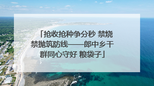 抢收抢种争分秒 禁烧禁抛筑防线——郎中乡干群同心守好 粮袋子