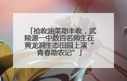 抢收油菜助丰收，武陵源一中数百名师生在黄龙洞生态田园上演“青春助农记”