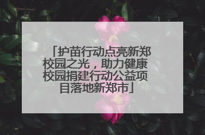 护苗行动点亮新郑校园之光，助力健康校园捐建行动公益项目落地新郑市