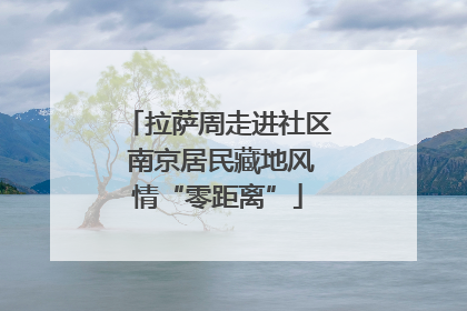 拉萨周走进社区 南京居民藏地风情“零距离”