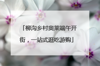 柳沟乡村奥莱端午开街，一站式逛吃游购