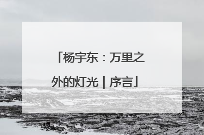 杨宇东：万里之外的灯光｜序言