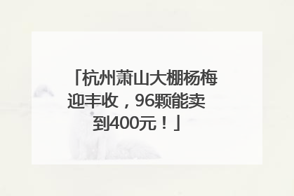 杭州萧山大棚杨梅迎丰收，96颗能卖到400元！