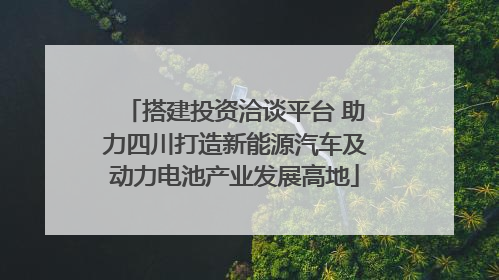 搭建投资洽谈平台 助力四川打造新能源汽车及动力电池产业发展高地