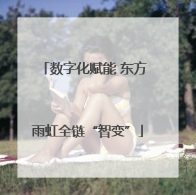 数字化赋能 东方雨虹全链“智变”