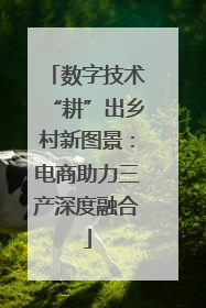 数字技术“耕”出乡村新图景：电商助力三产深度融合