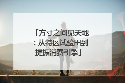 方寸之间见天地：从特区试验田到提振消费引擎