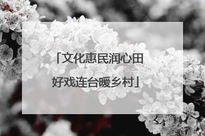 文化惠民润心田 好戏连台暖乡村
