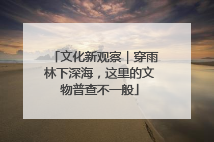 文化新观察｜穿雨林下深海，这里的文物普查不一般