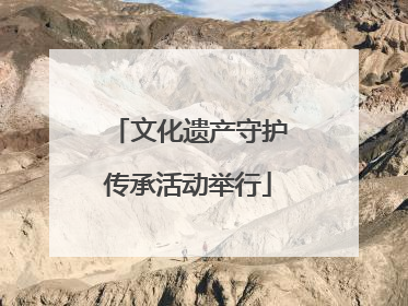 文化遗产守护传承活动举行