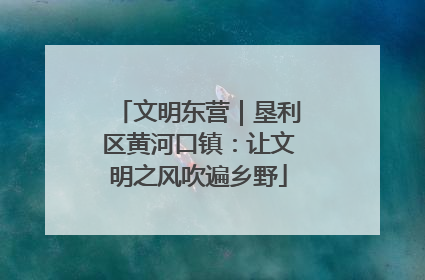 文明东营｜垦利区黄河口镇：让文明之风吹遍乡野