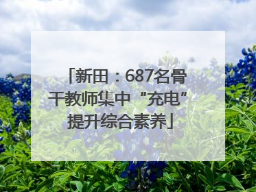 新田：687名骨干教师集中“充电” 提升综合素养