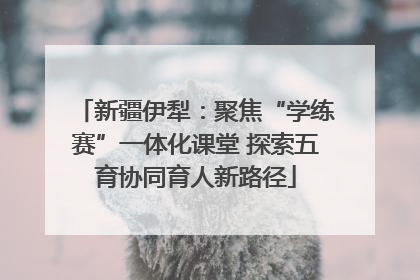 新疆伊犁：聚焦“学练赛”一体化课堂 探索五育协同育人新路径