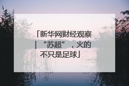 新华网财经观察｜“苏超”，火的不只是足球