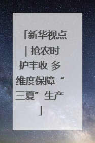 新华视点｜抢农时 护丰收 多维度保障“三夏”生产