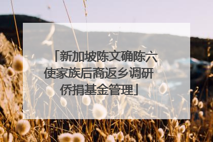 新加坡陈文确陈六使家族后裔返乡调研侨捐基金管理