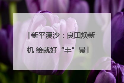 新平漠沙：良田焕新机 绘就好“丰”景