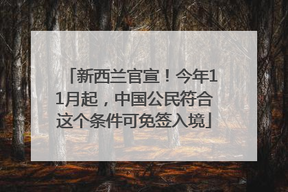 新西兰官宣！今年11月起，中国公民符合这个条件可免签入境