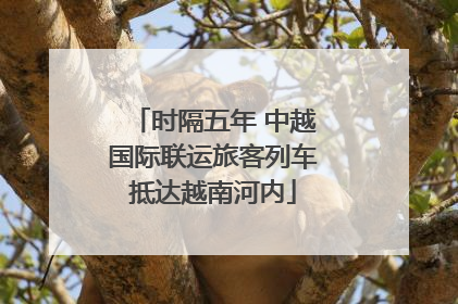 时隔五年 中越国际联运旅客列车抵达越南河内
