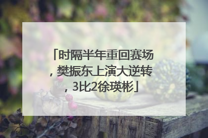 时隔半年重回赛场，樊振东上演大逆转，3比2徐瑛彬
