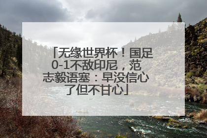 无缘世界杯！国足0-1不敌印尼，范志毅语塞：早没信心了但不甘心