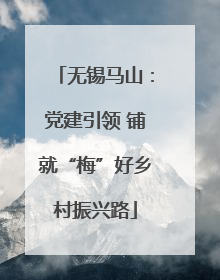 无锡马山：党建引领 铺就“梅”好乡村振兴路