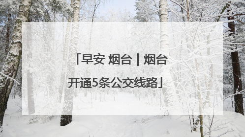 早安 烟台｜烟台开通5条公交线路