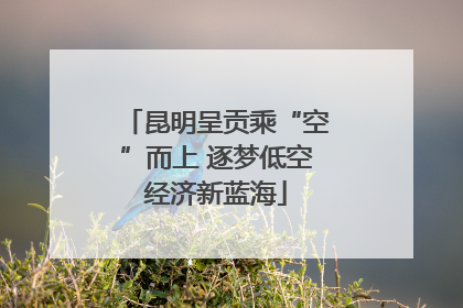 昆明呈贡乘“空”而上 逐梦低空经济新蓝海