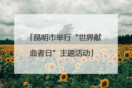 昆明市举行“世界献血者日”主题活动
