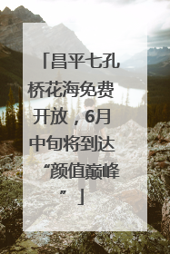 昌平七孔桥花海免费开放，6月中旬将到达“颜值巅峰”