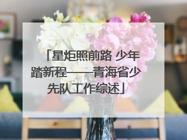 星炬照前路 少年踏新程——青海省少先队工作综述