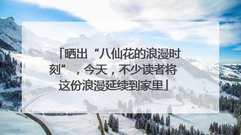 晒出“八仙花的浪漫时刻”，今天，不少读者将这份浪漫延续到家里