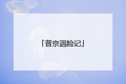 普京遇险记