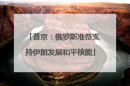 普京：俄罗斯准备支持伊朗发展和平核能