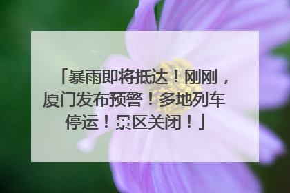 暴雨即将抵达！刚刚，厦门发布预警！多地列车停运！景区关闭！