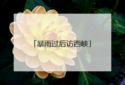 暴雨过后访西峡