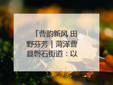 曹韵新风 田野芬芳｜菏泽曹县磐石街道：以歌为媒 唱响乡土“新歌声”